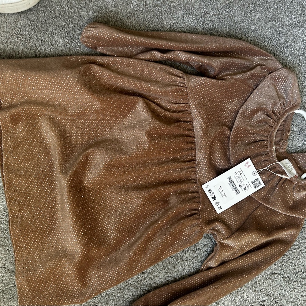 Zara Brown Dotted Long Sleeve Dress
